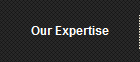 Our Expertise