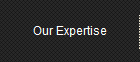 Our Expertise